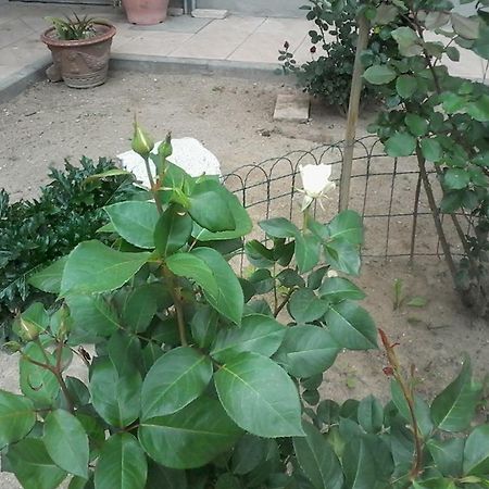 Perbacco Bed & Breakfast Sartirana Lomellina Bagian luar foto